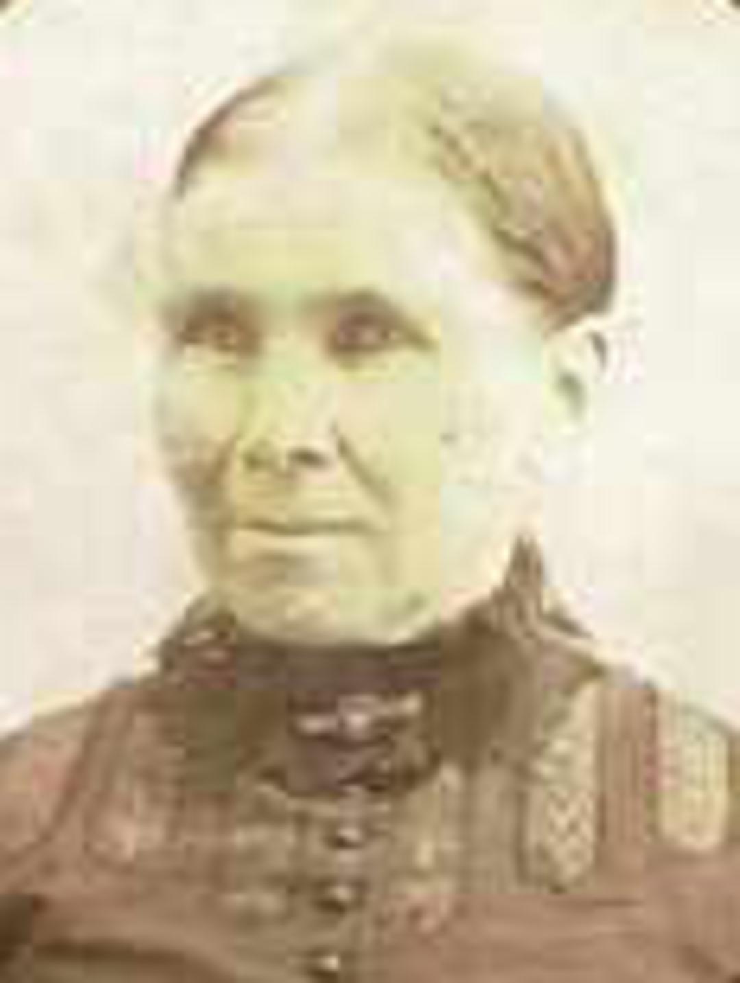 Ane Marie Christensdatter (1835 - 1926) Profile